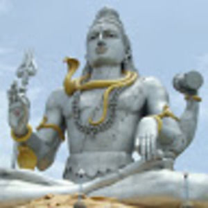 Meet your Posher, Suku